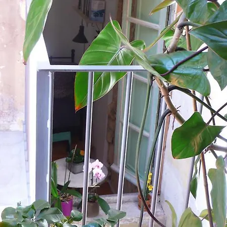 לינה וארוחת בוקר La Maison Des Vignes