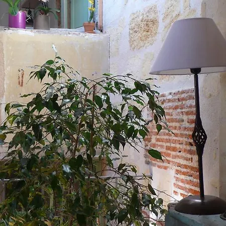 La Maison Des Vignes Bordeaux