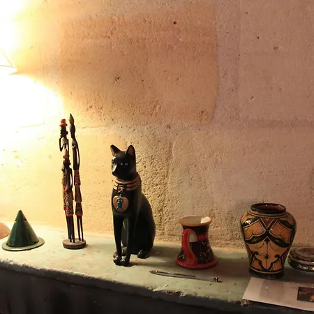 ベッド・アンド・ブレックファスト La Maison Des Vignes ボルドー