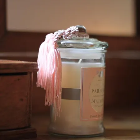 La Maison Des Vignes Bed & Breakfast Bordeaux