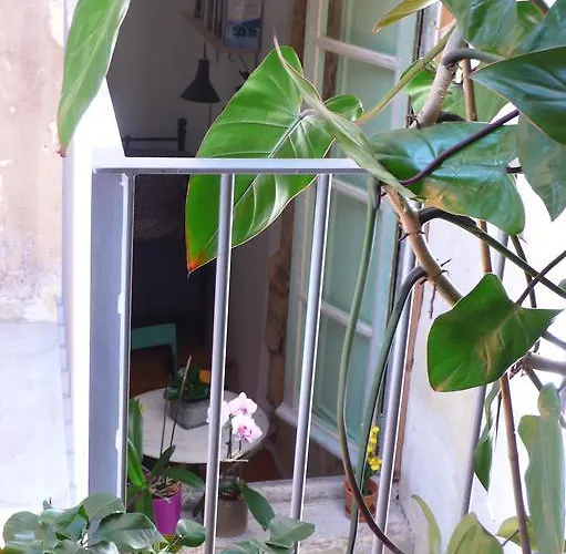 Bed & Breakfast La Maison Des Vignes