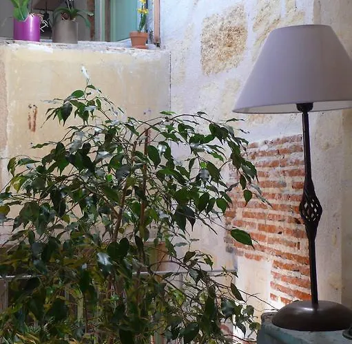 La Maison Des Vignes Bordeaux