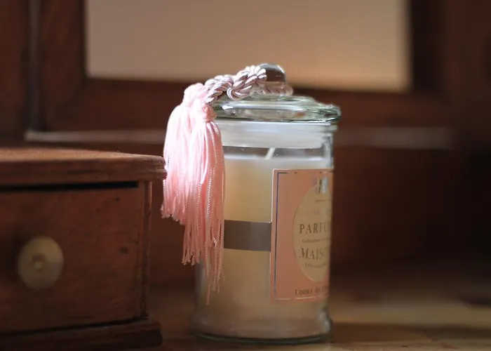 La Maison Des Vignes ベッド・アンド・ブレックファスト ボルドー