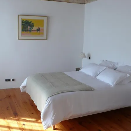 La Maison Des Vignes